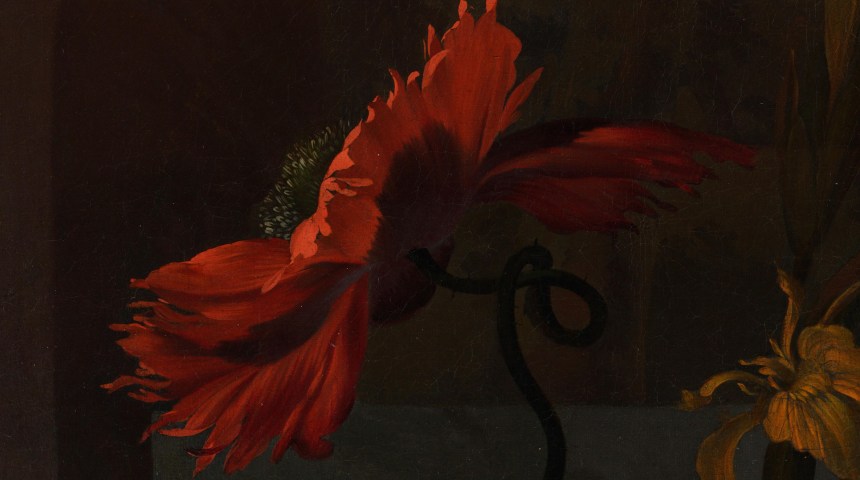 roses-convolvulus-poppies-and-other-flowers-in-an-urn-on-a-stone-ledge-gqebqdkl0_2urq_crop-1